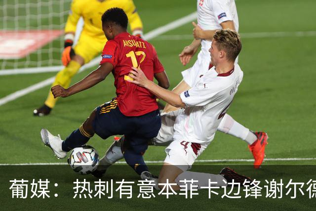 葡媒：热刺有意本菲卡边锋谢尔德鲁普，考虑送上总额4000万欧报价